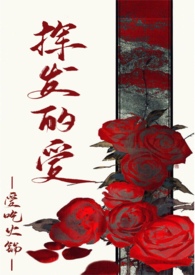 挥发的爱(逆ntr)